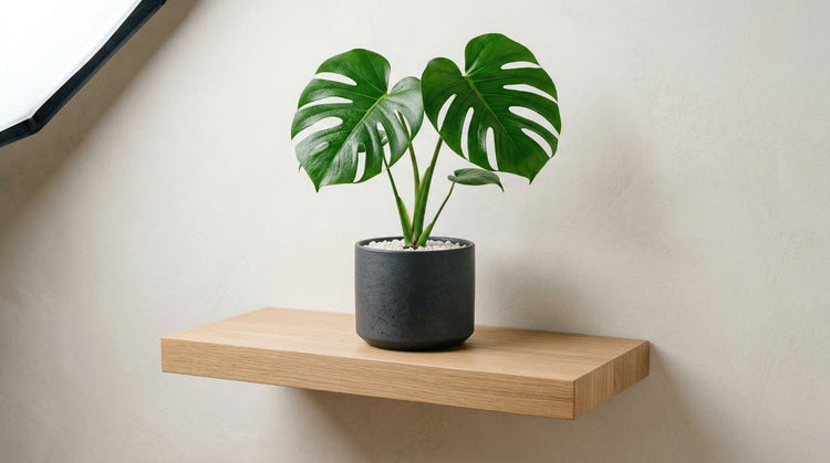 Ceramic planter with a gold leaf design | Mapland