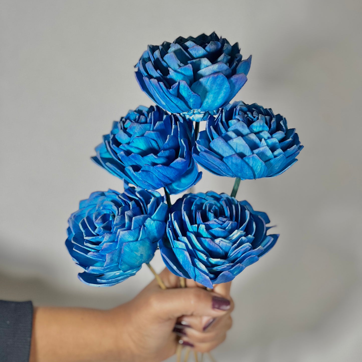 Blue Sola Flower