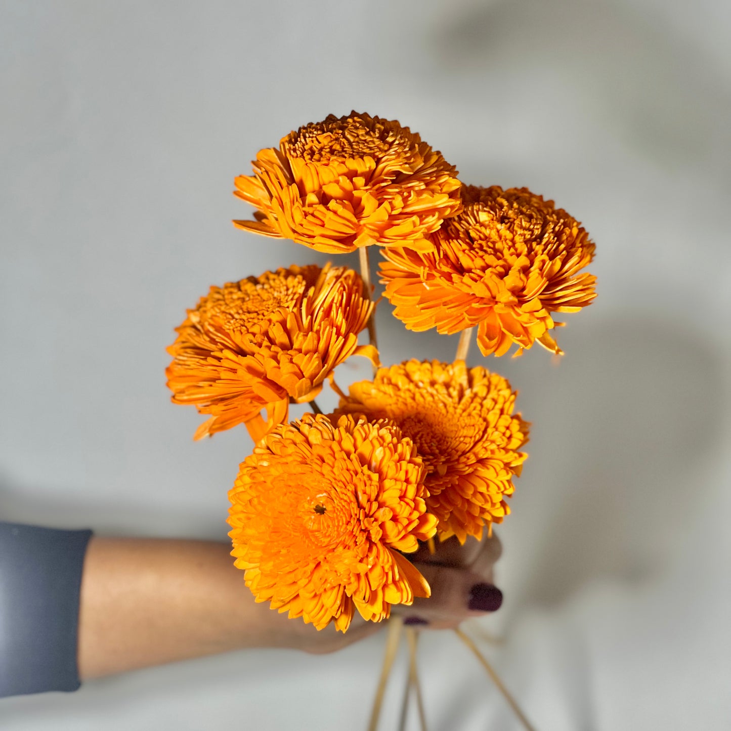 Orange Sola Flower