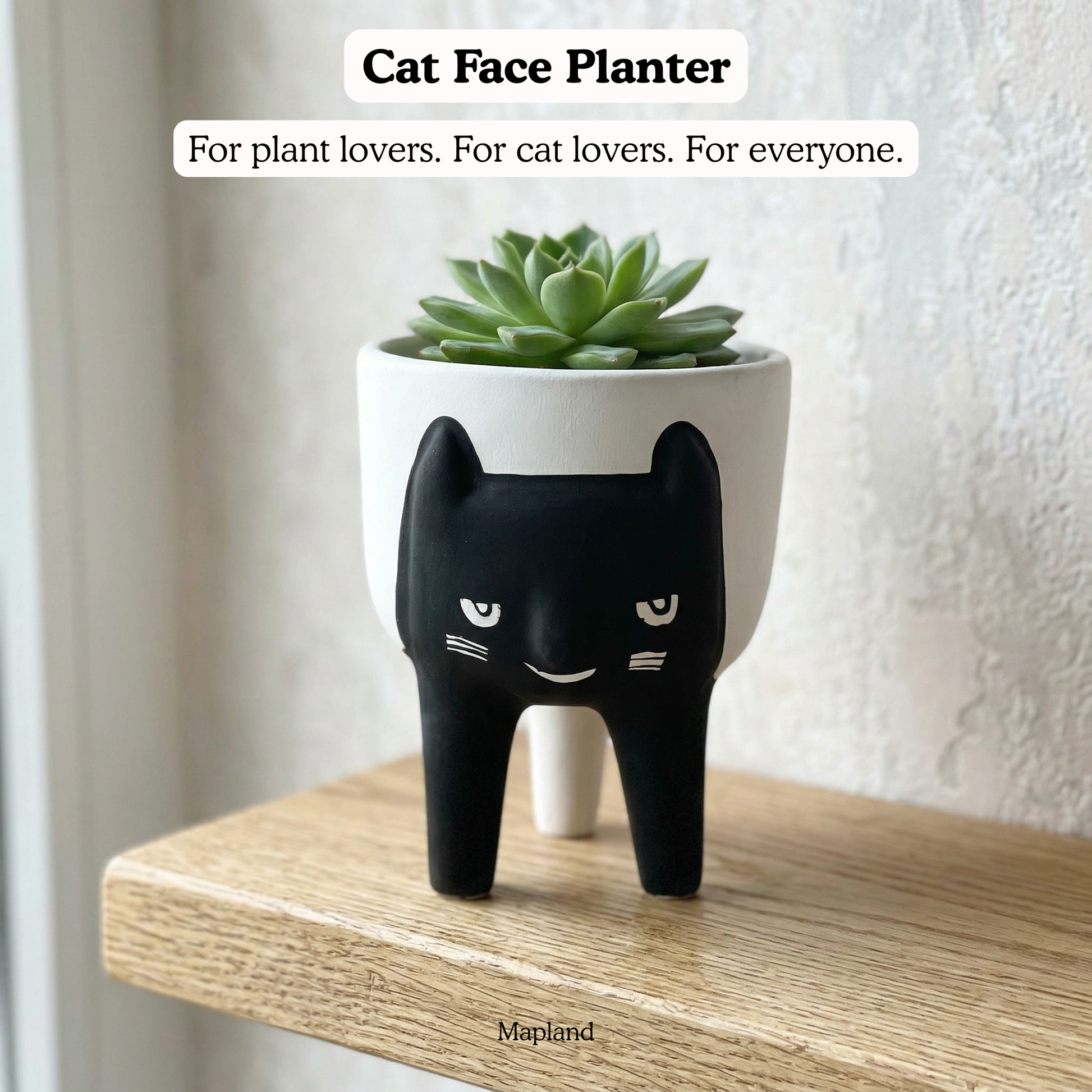 Cat Face Planter ceramic planter front view, whimsical handcrafted design | Mapland