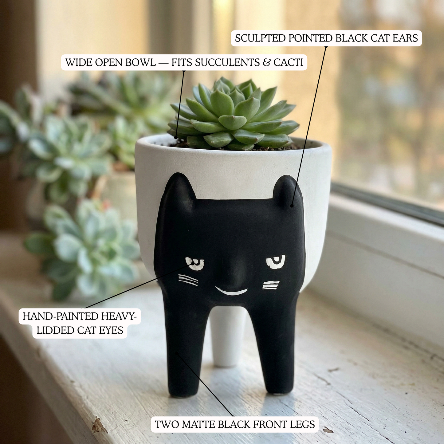 Cat Face Planter artisan ceramic planter with succulents, indoor plant decor India | Mapland