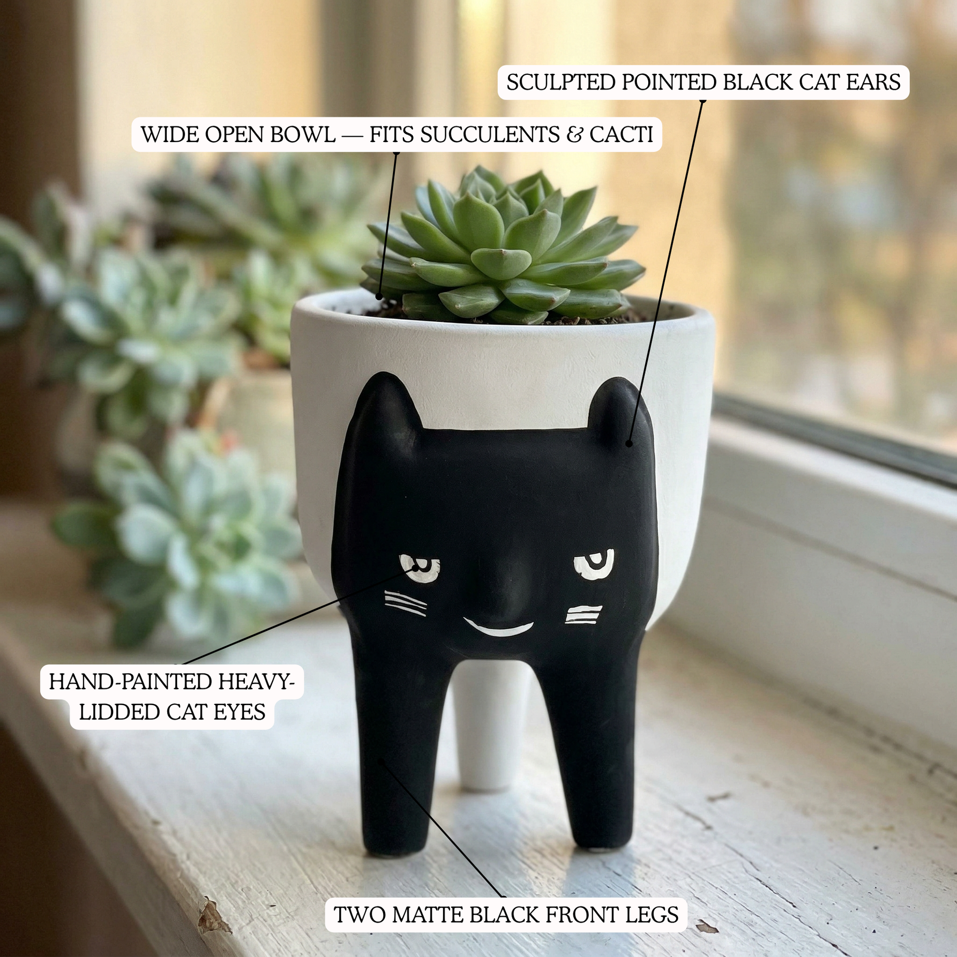 Cat Face Planter artisan ceramic planter with succulents, indoor plant decor India | Mapland