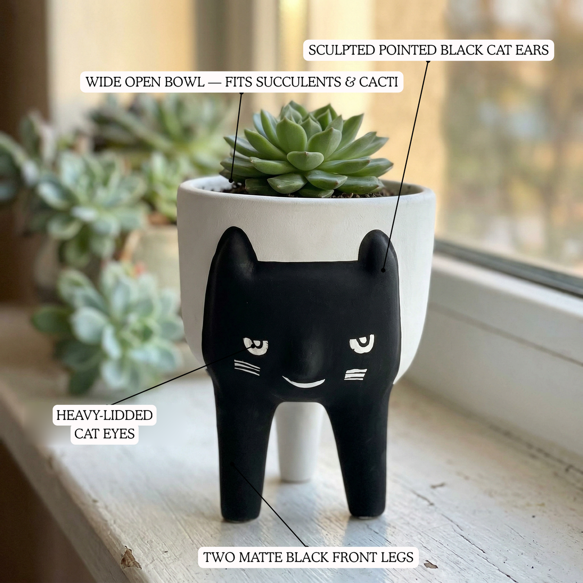 Cat Face Planter close-up detail | Mapland