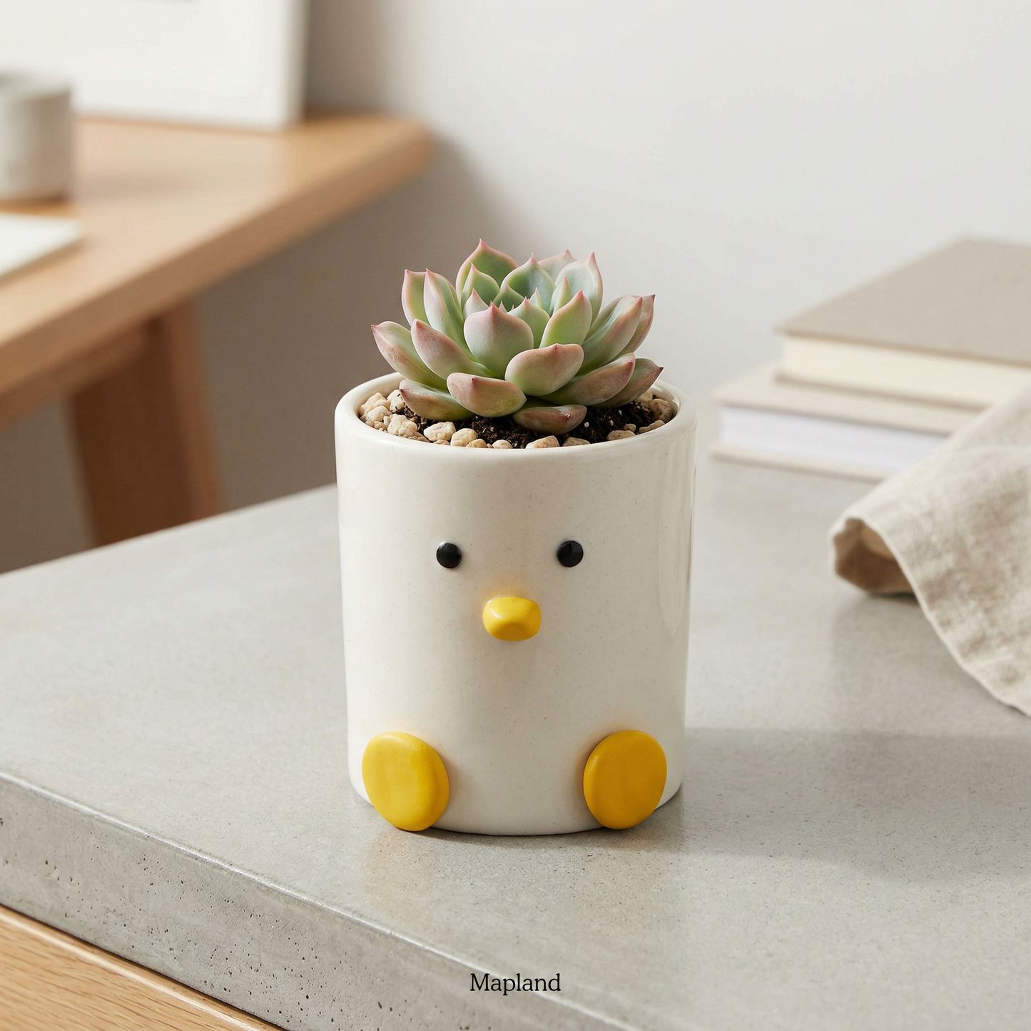 Duck Desk Planter handmade ceramic planter, Indian artisan craft | Mapland