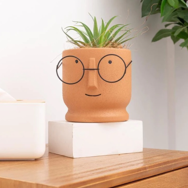 Nerd Planter Set of 2.