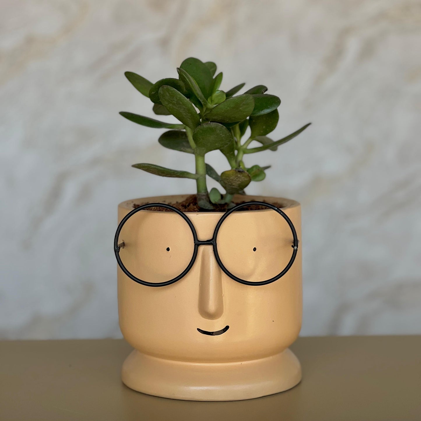 Lens Planter