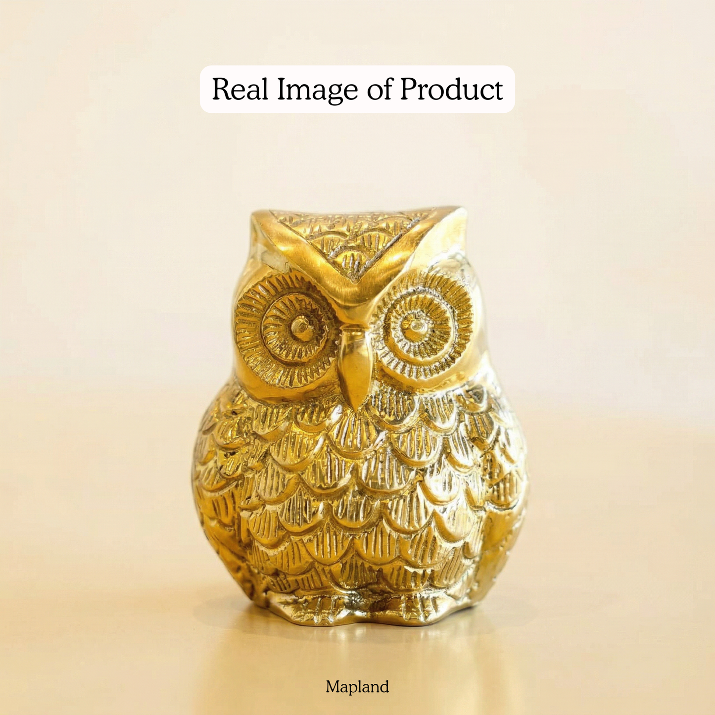 Brass owl home decor real lifestyle image | Mapland