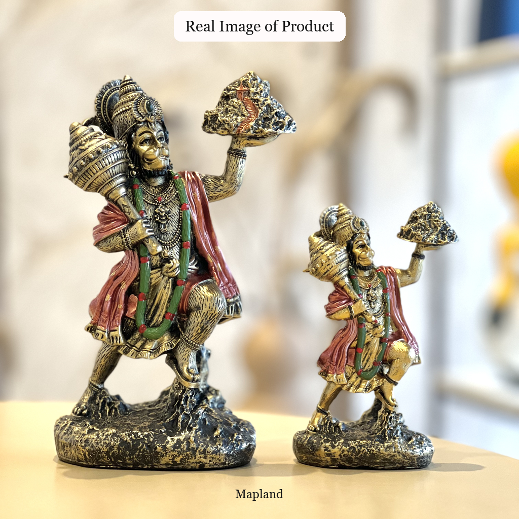 Sanjeevani Hanuman idol 9 inch and 6 inch real product image | Mapland