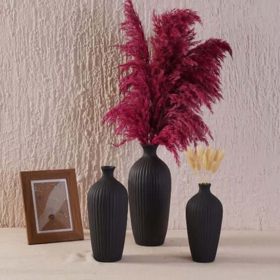Three black vases with decorative plants on a textured wall background