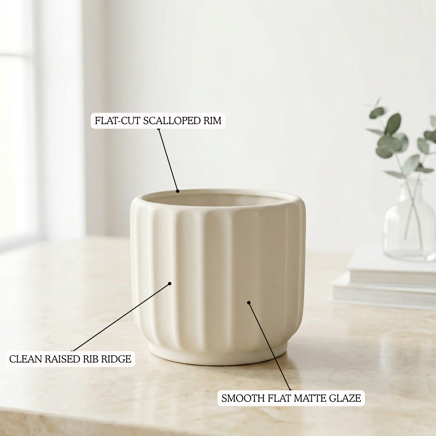 White Ribbed Ceramic Planter handmade ceramic planter — top view, Indian artisan craft | Mapland
