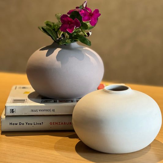 Elegant Ceramic Duo Vases