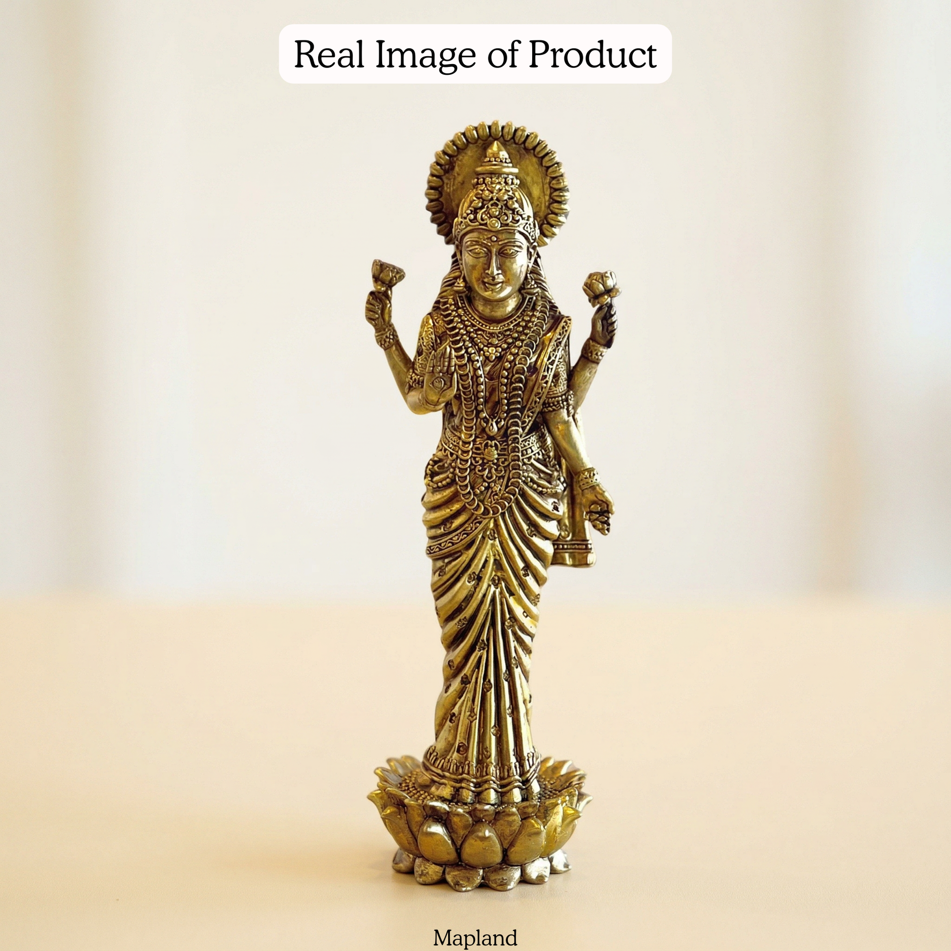 Brass Lakshmi idol real lifestyle image | Mapland